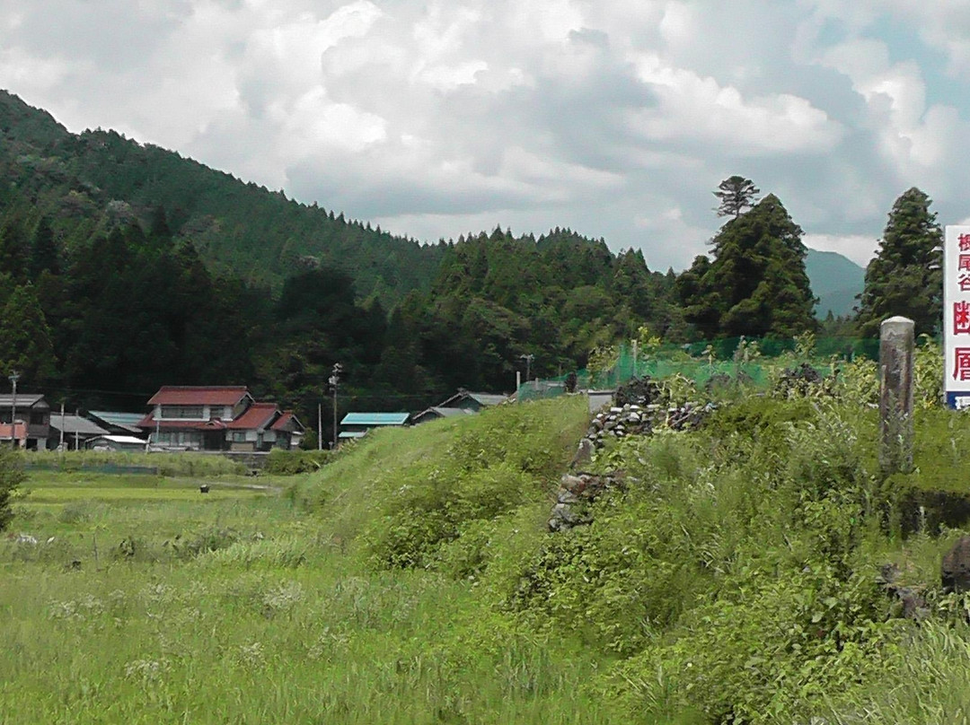 Noedani Fault-本巢市必去景点