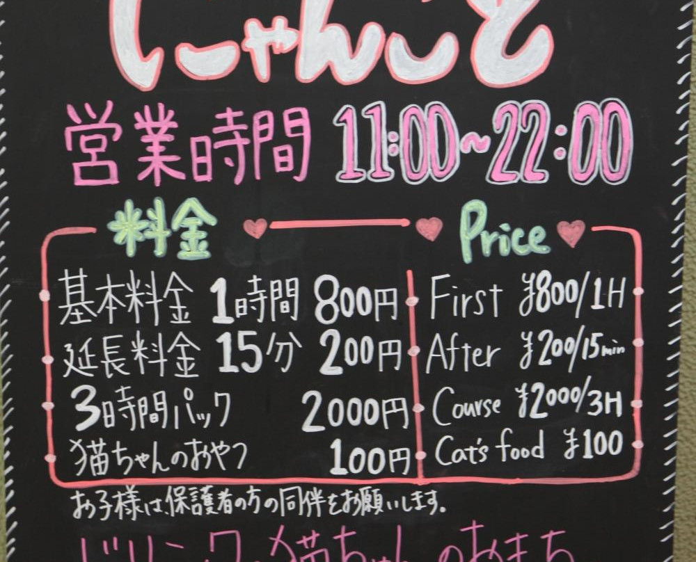 Cat Cafe Nyankoto-Takadanobaba必去景点