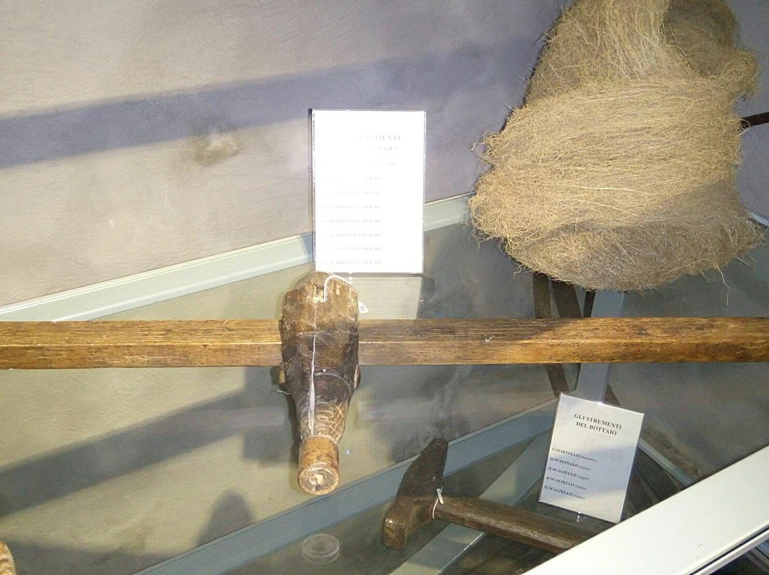 Diffused Museum of Wine-Monte Porzio Catone必去景点