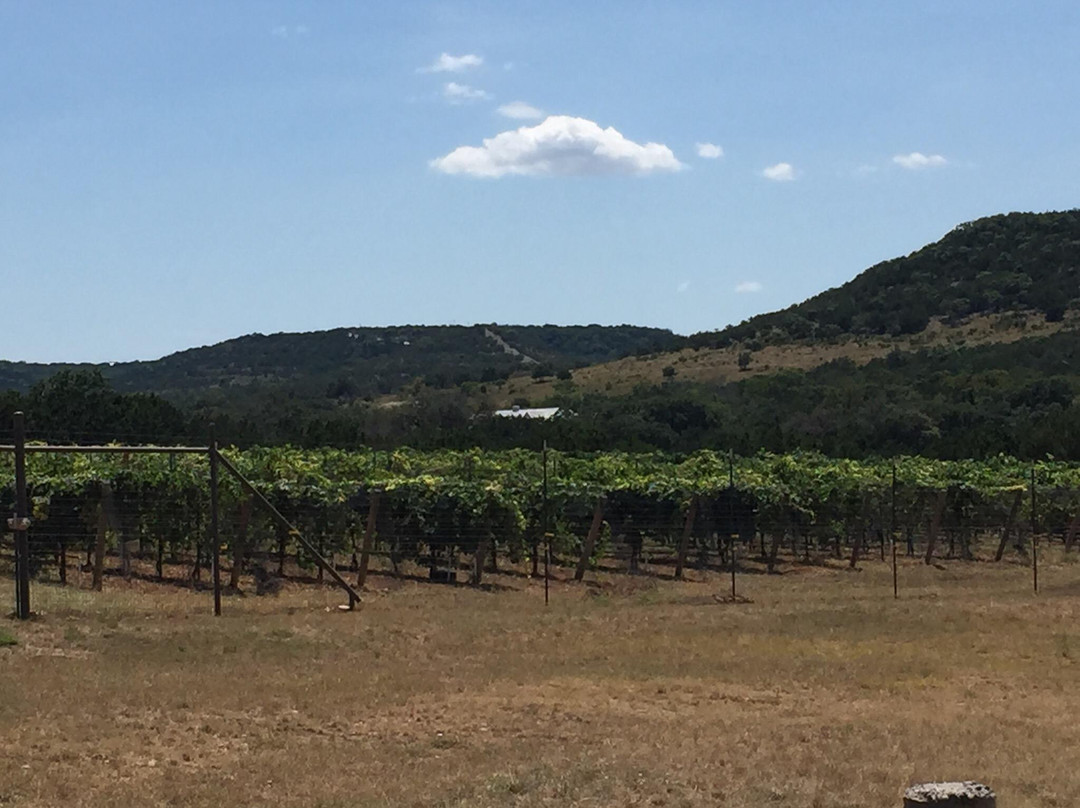 Singing Water Vineyards-Comfort必去景点