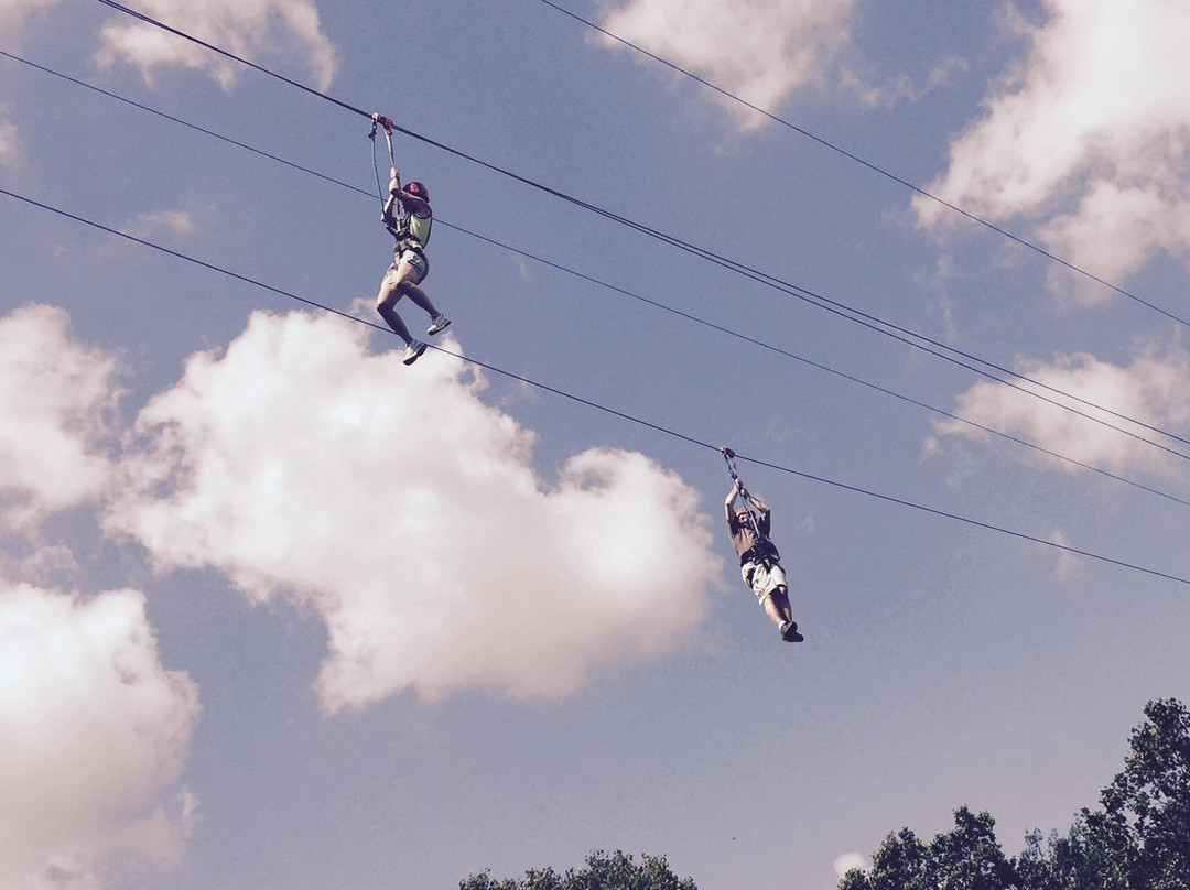 Massanutten Resort: Zip Line and Canopy Tours景点图片