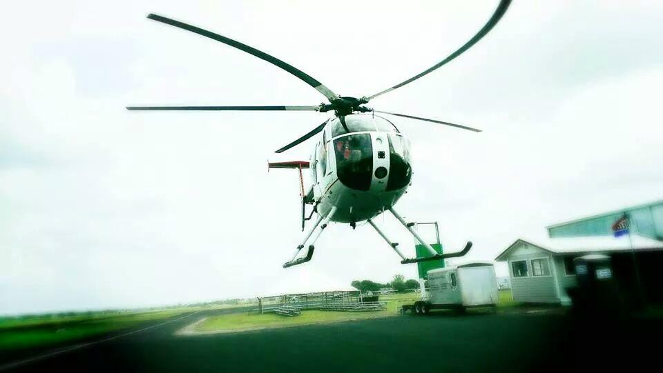 Mr. D's Helicopters - Helicopter Hog Hunting-Lone Oak必去景点