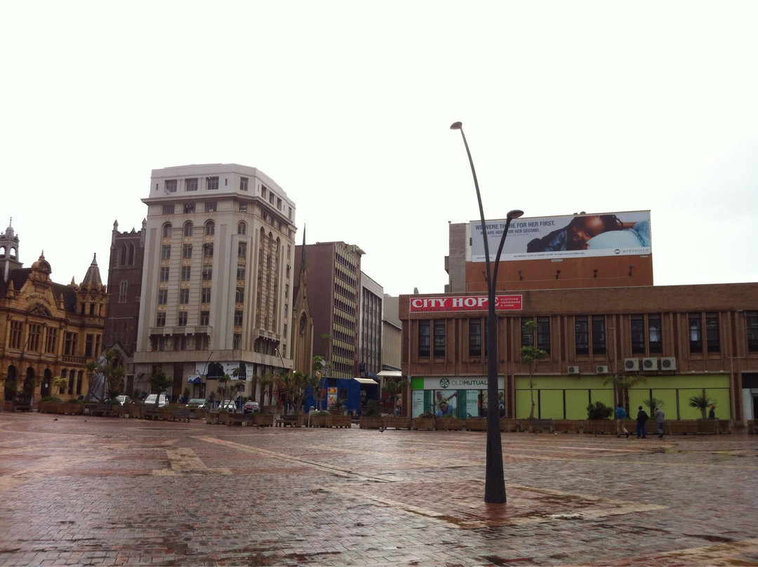 Main Public Library-伊丽莎白港必去景点