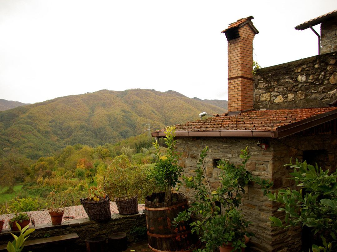 Podere Benelli