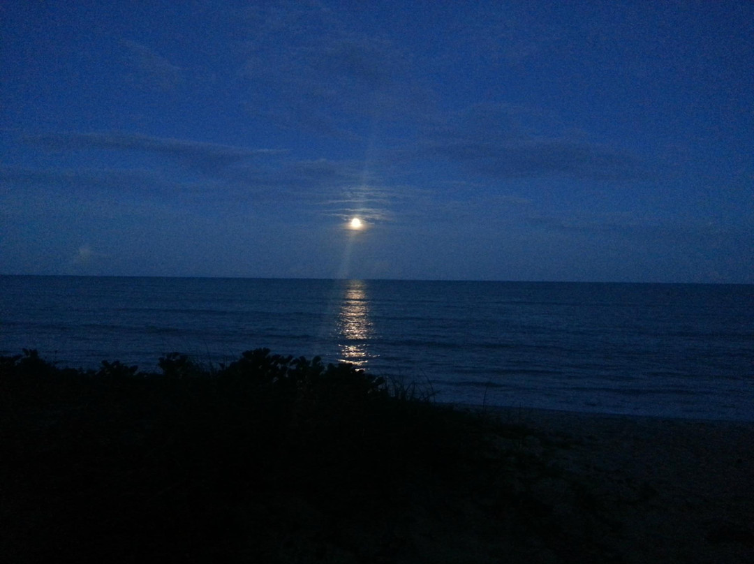 Rio do Peixe Beach-Cumuruxatiba必去景点