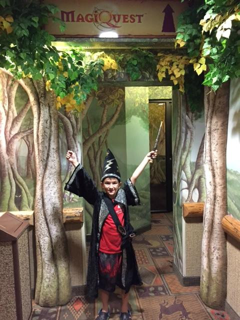 威利树林-威斯康星峡谷必去景点