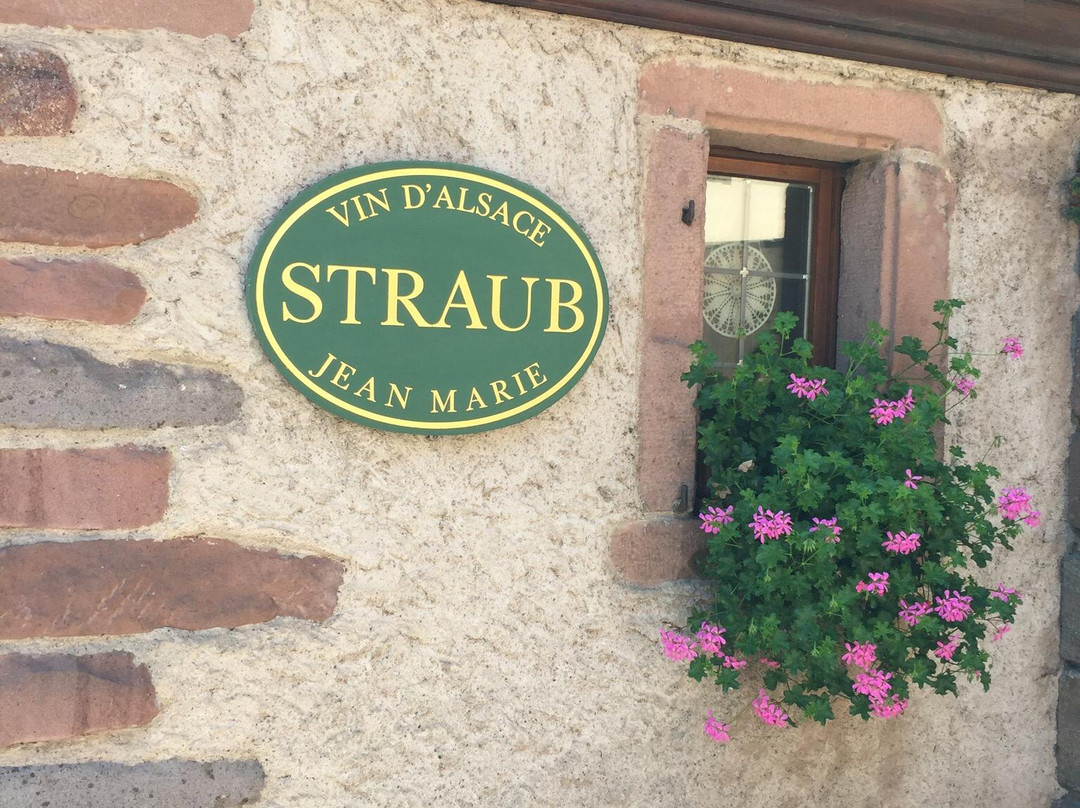Jean-Marie Straub景点图片