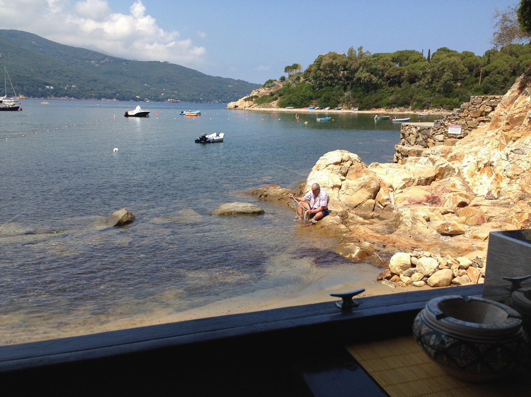 Procchio Beach景点图片