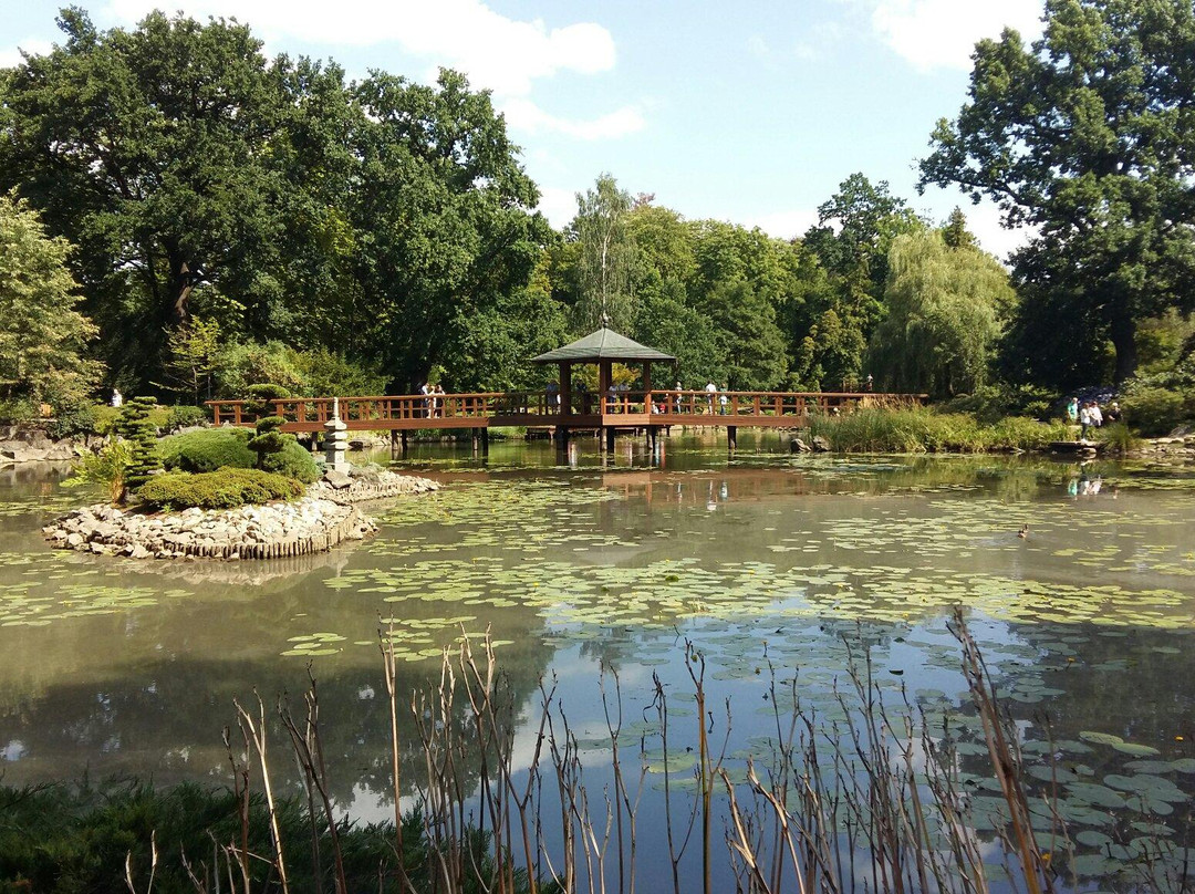 Japanese Garden - Szczytnicki Park-弗罗茨瓦夫必去景点