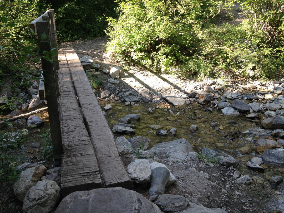 Middle Cottonwood Trailhead-博兹曼必去景点