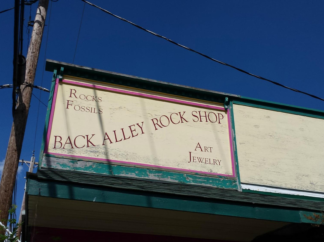 Back Alley Rock Shop景点图片