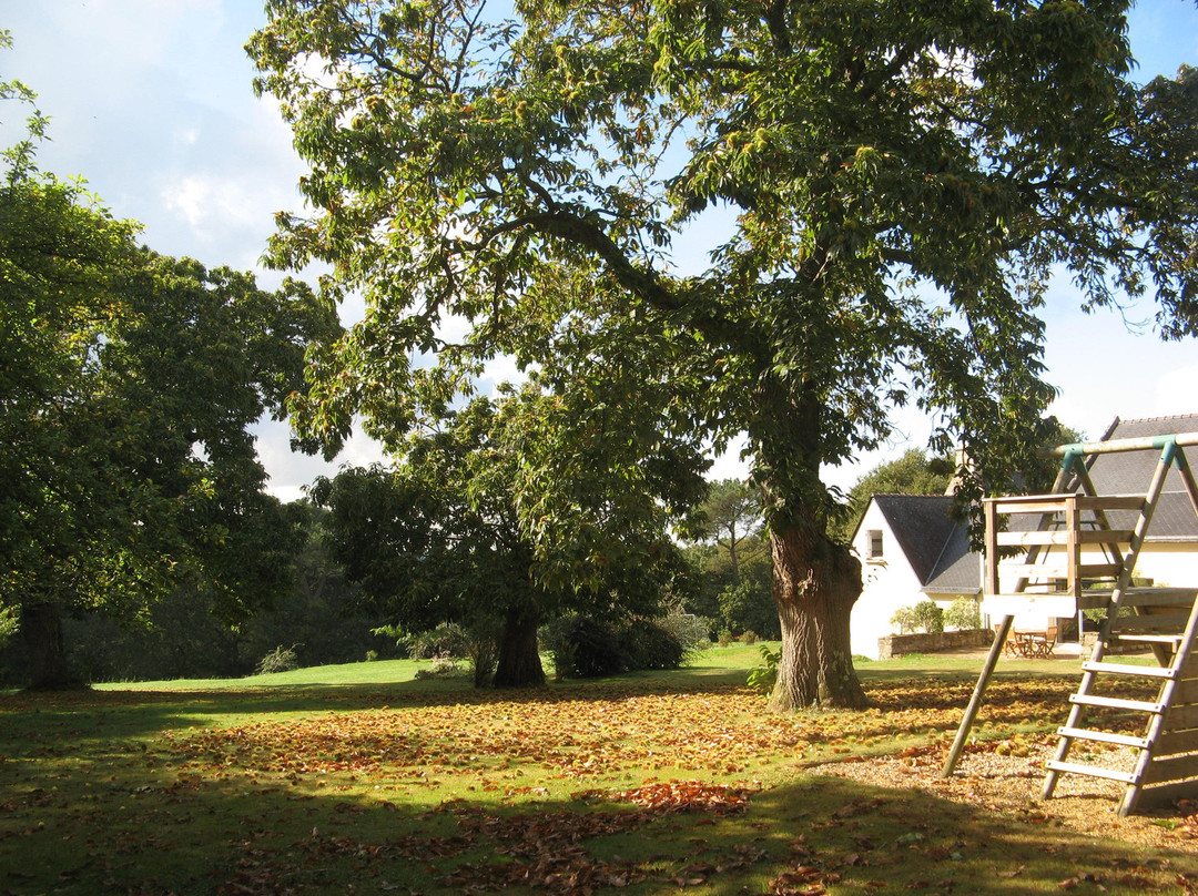 Domaine du Puits Saint Pierre主图