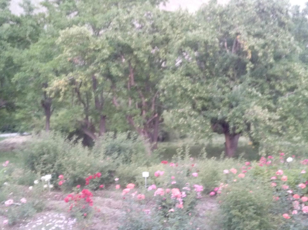 Botanical Garden-Khorog必去景点