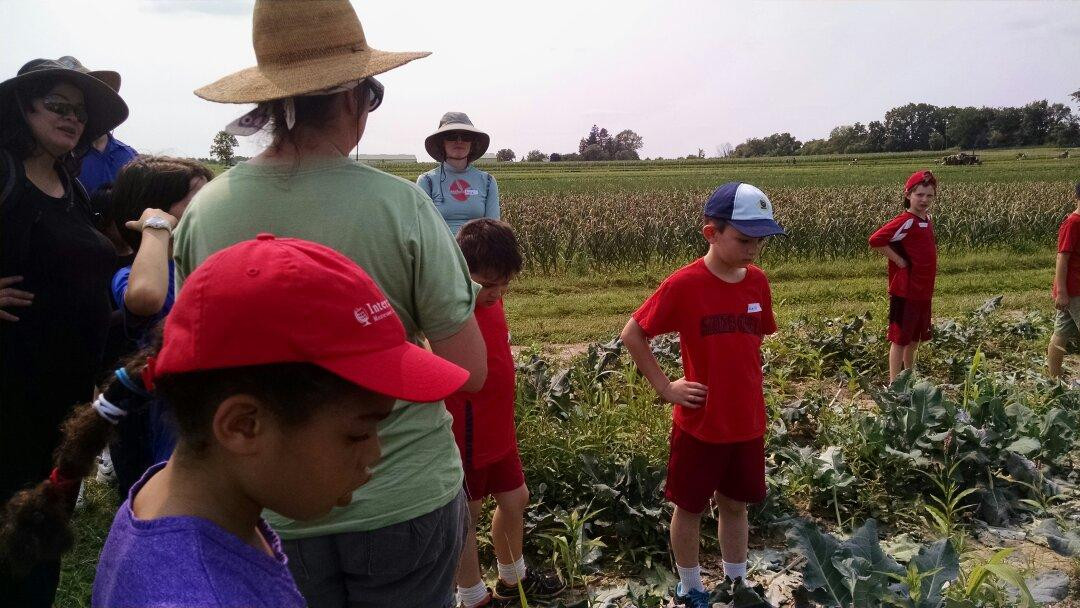 Angelic Organics Learning Center-Caledonia必去景点