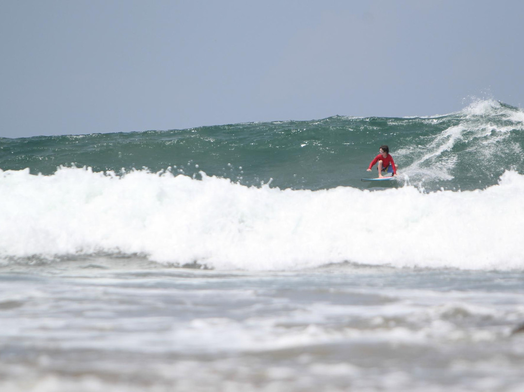 Premier Surf Club - Day Tour-塔马林多必去景点