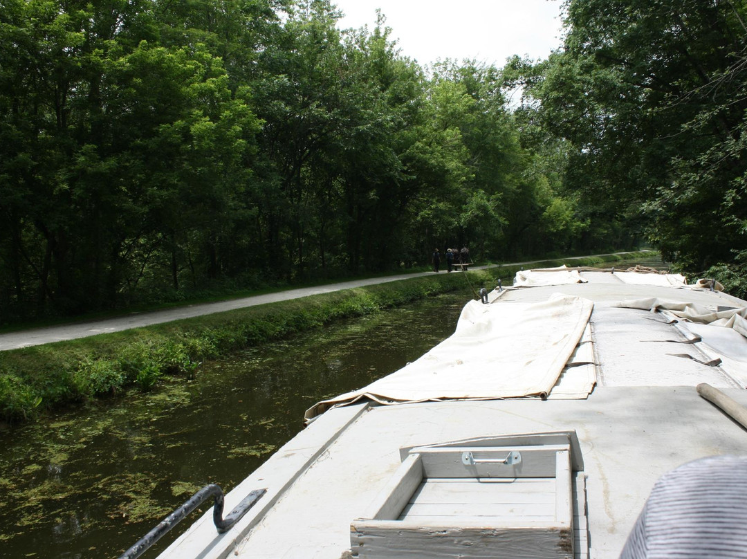 St. Helena III Canal Boat Rides景点图片