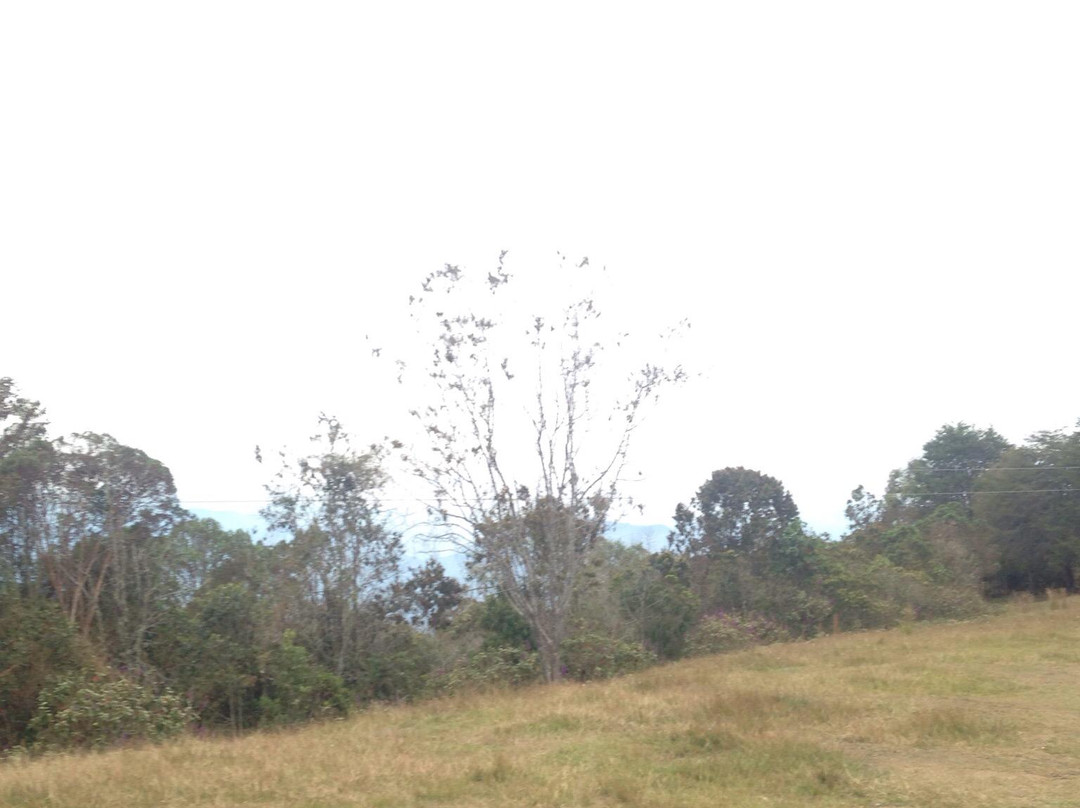 Cerro Las Nubes-Jerico必去景点