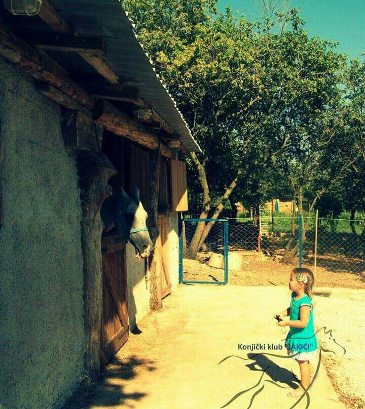 Konjicki klub Jakici Horse Riding-Sveti Lovrec必去景点