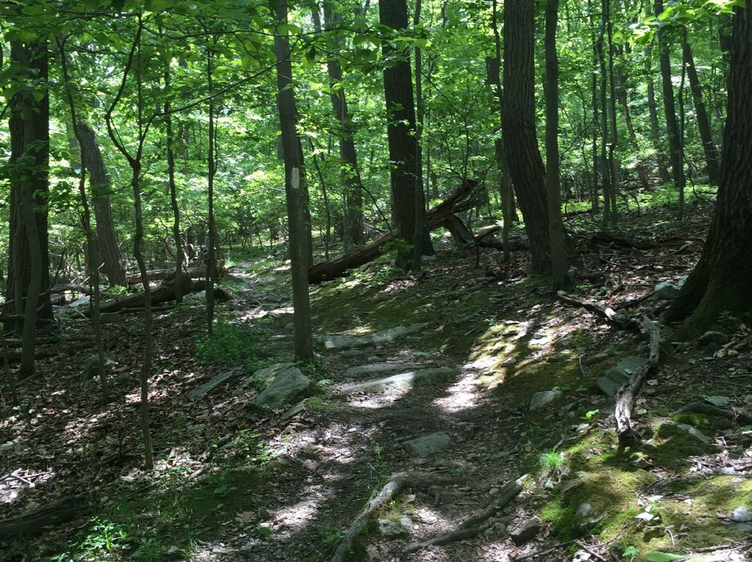 Gambrill State Park-弗雷德里克必去景点