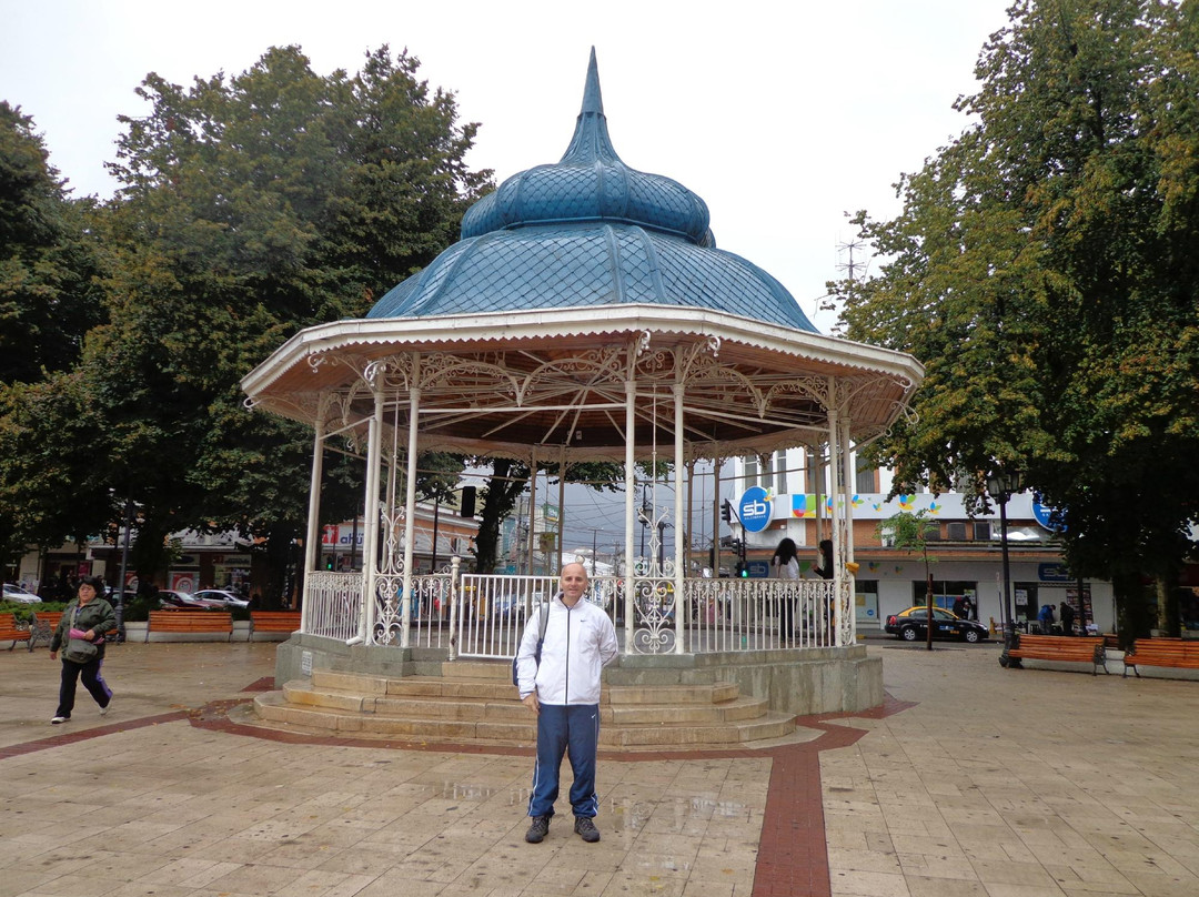 Plaza de la Republica-瓦尔迪维亚必去景点