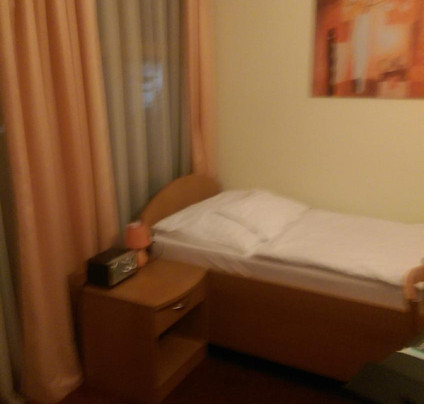 Penzion Kamelia主图