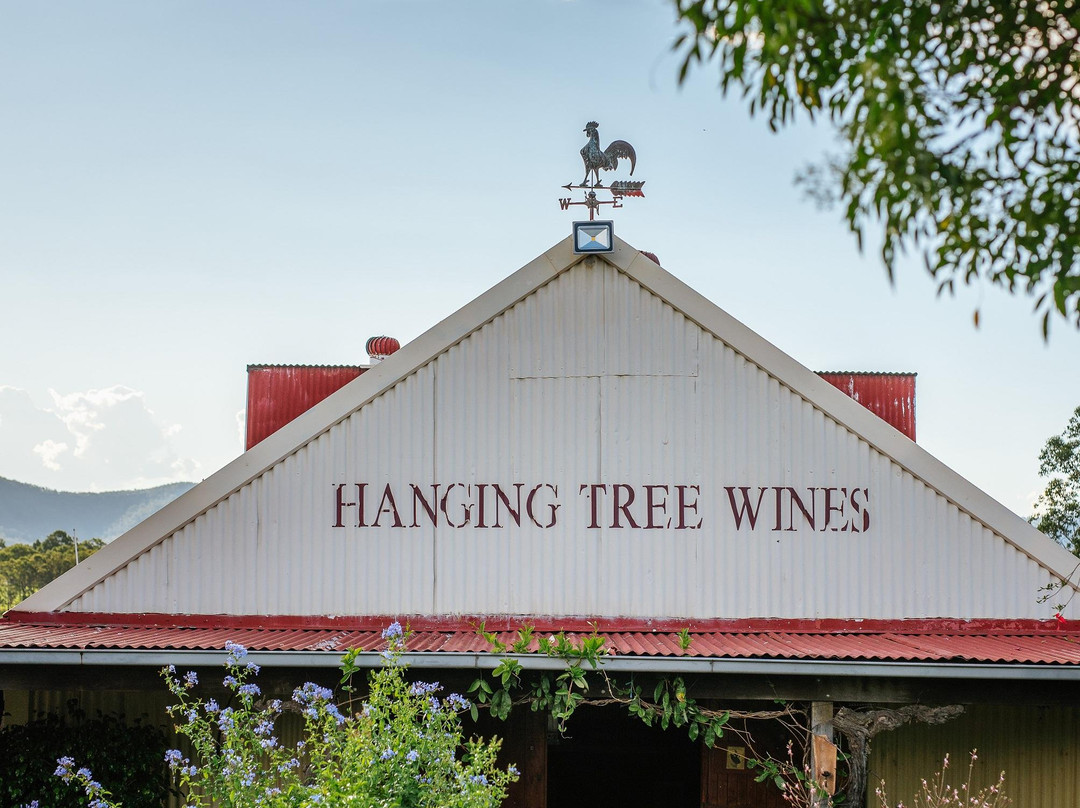 Hanging Tree Wines景点图片