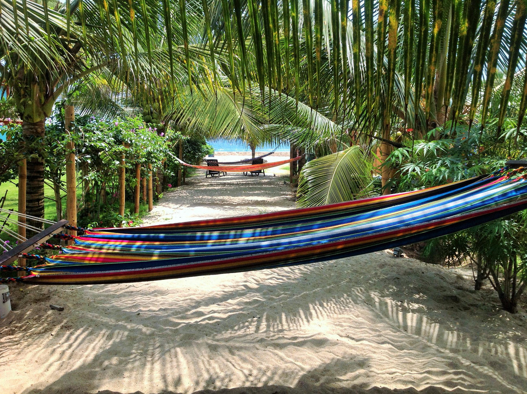 Casa Morningsun主图