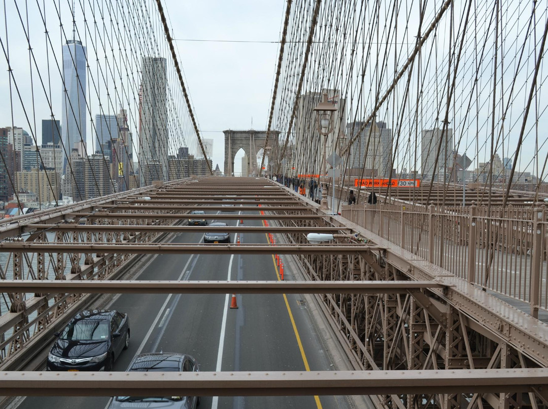 Unlimited Biking-纽约市必去景点