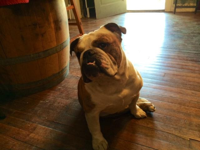 Helotes Creek Winery-Helotes必去景点