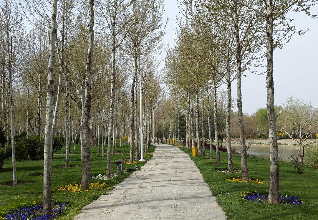 Nazhvan Forest Park景点图片