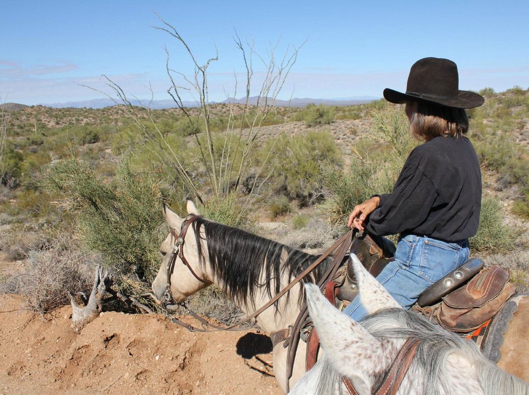 Effus Ranch-Wickenburg必去景点