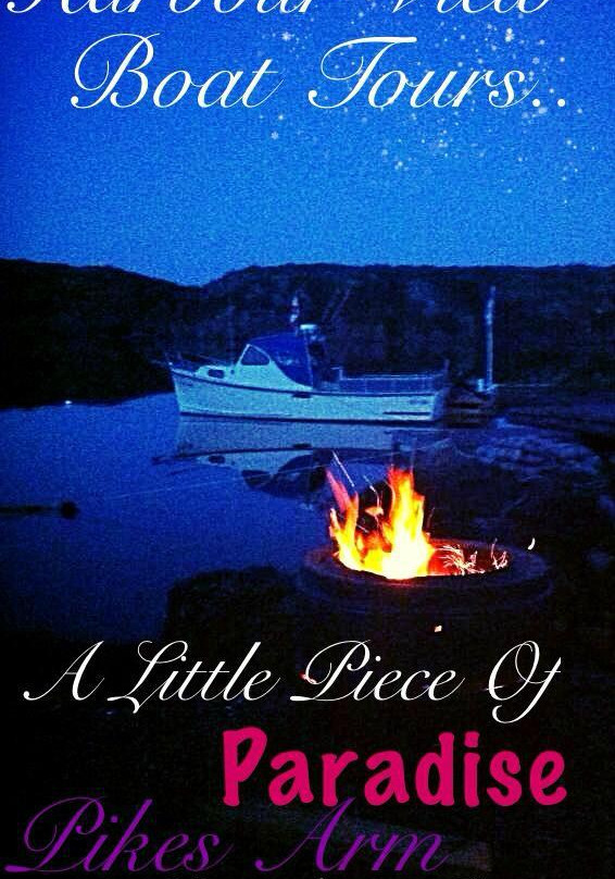 Harbourview Boat Tours and Seafood Experience-New World Island必去景点