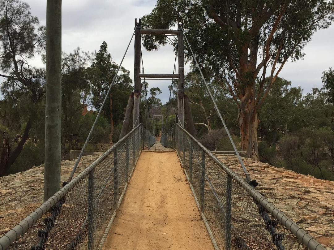 Avon River Suspension Bridge景点图片
