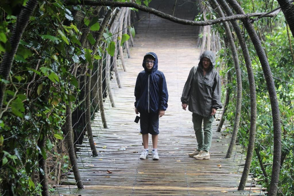 Birds of Eden-The Crags必去景点