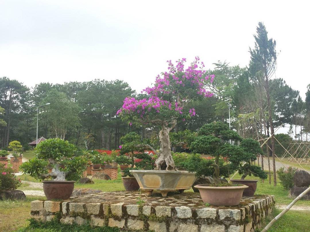 Golden Valley-大勒必去景点