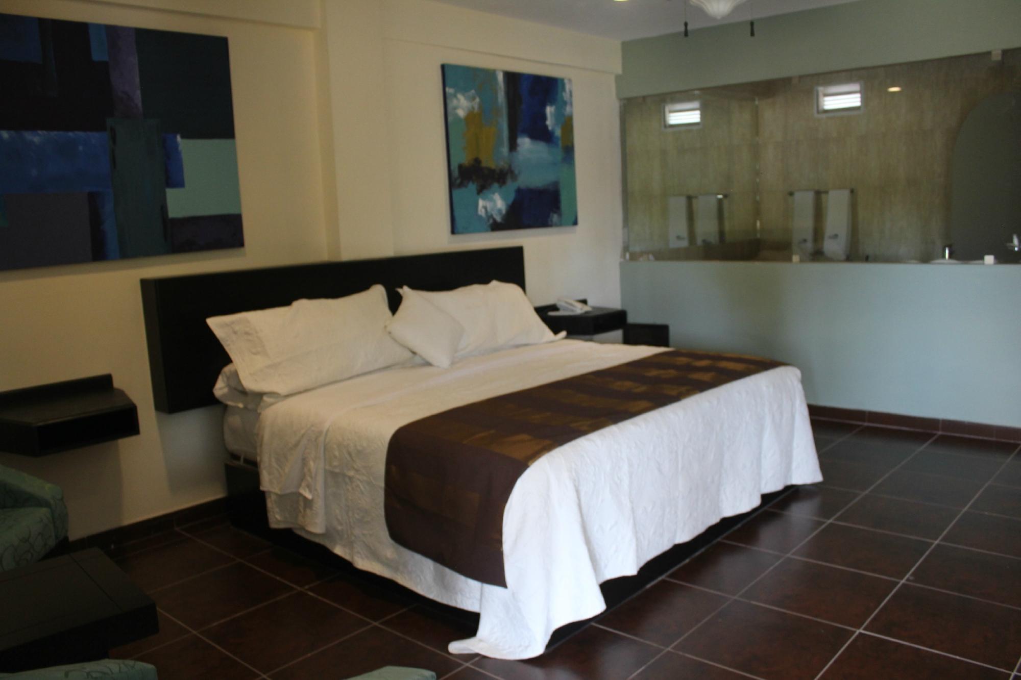 Hotel Paseo Palmas-官方