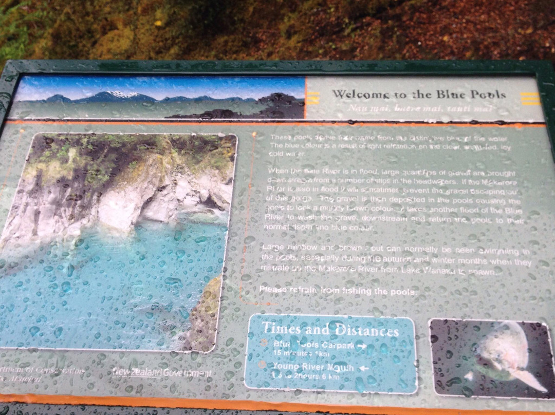 Haast Visitor Centre景点图片