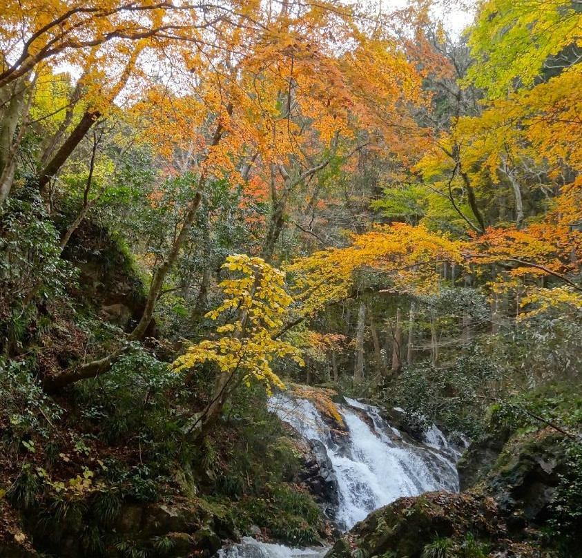 Shimotaki Falls-常陆太田市必去景点