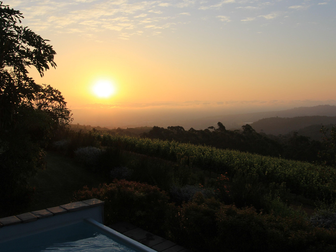 Delaire Graff Estate-斯泰伦博斯必去景点