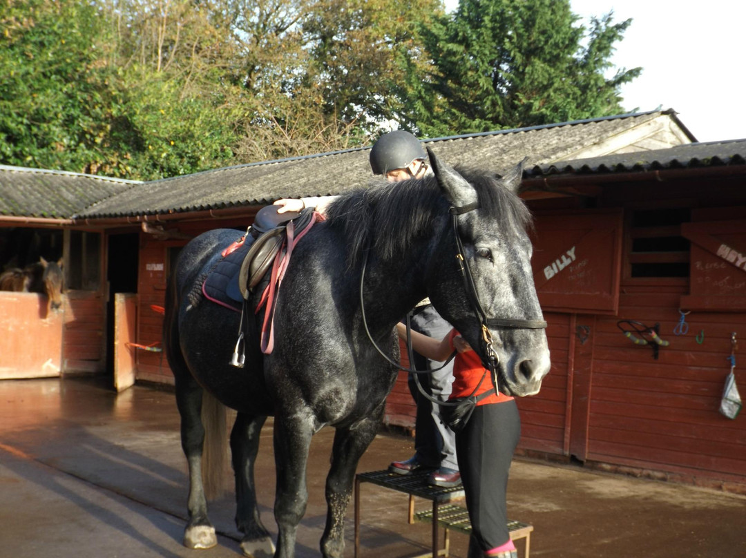 Burley Manor Riding Stables景点图片