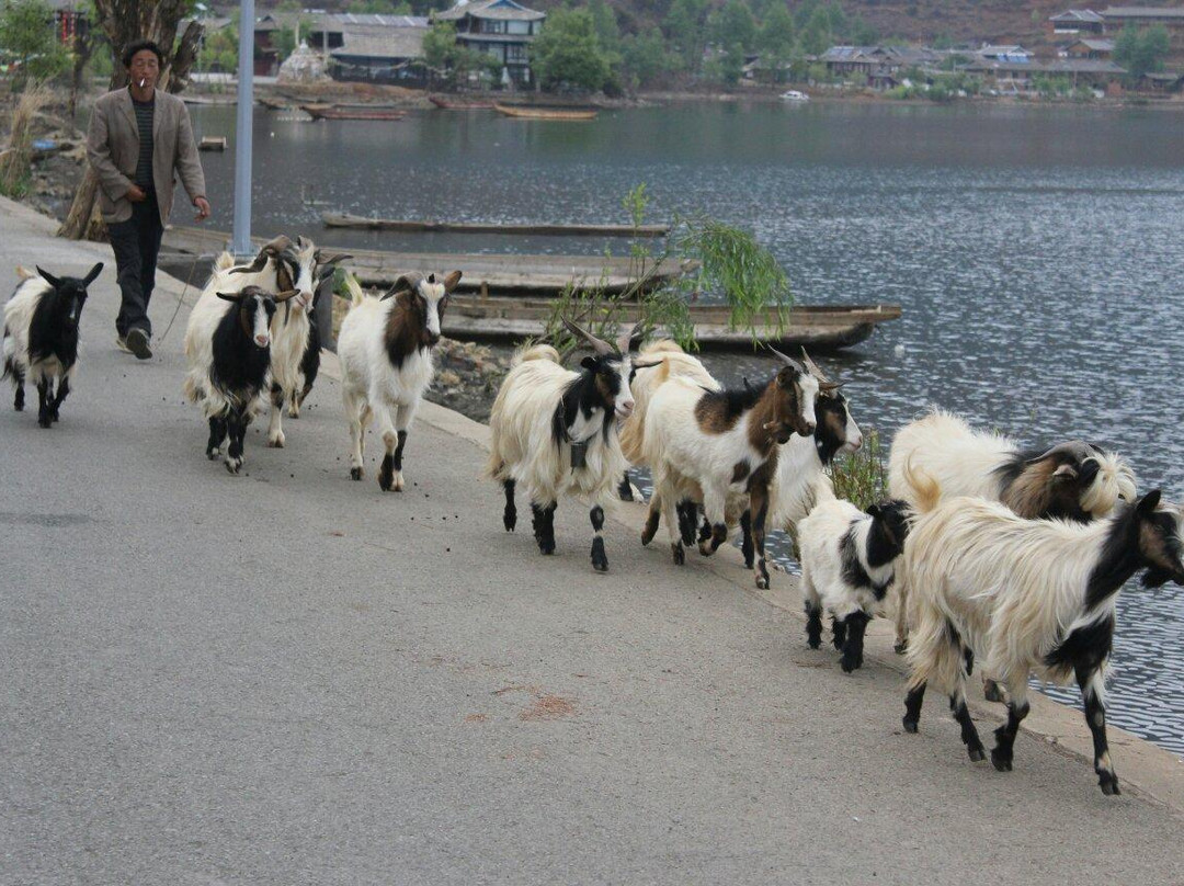 尼赛村-宁蒗彝族自治县必去景点