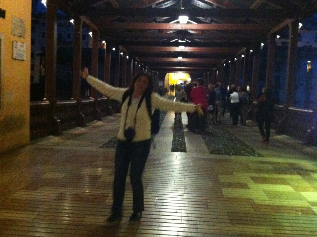 Ponte Degli Alpini景点图片