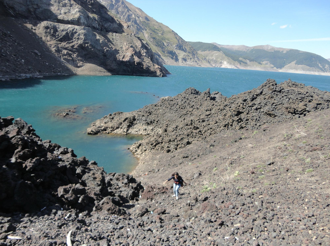 Parque Nacional Laguna del Laja景点图片