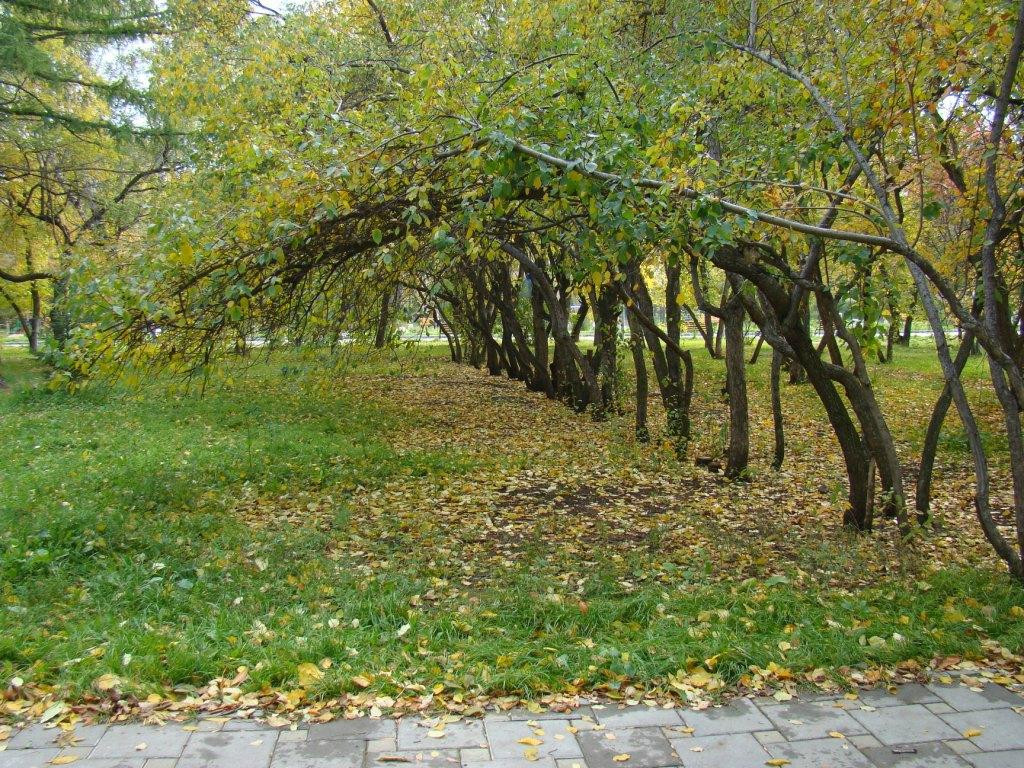 Pavlik Morozov's Garden景点图片
