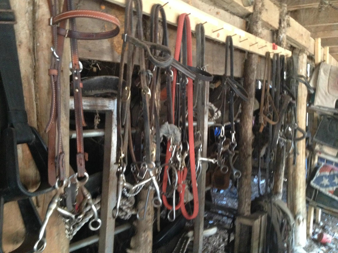 JuRo Stables-Mount Juliet必去景点