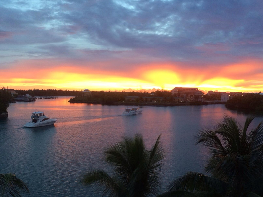 Taino Beach Ferry-弗里波特必去景点