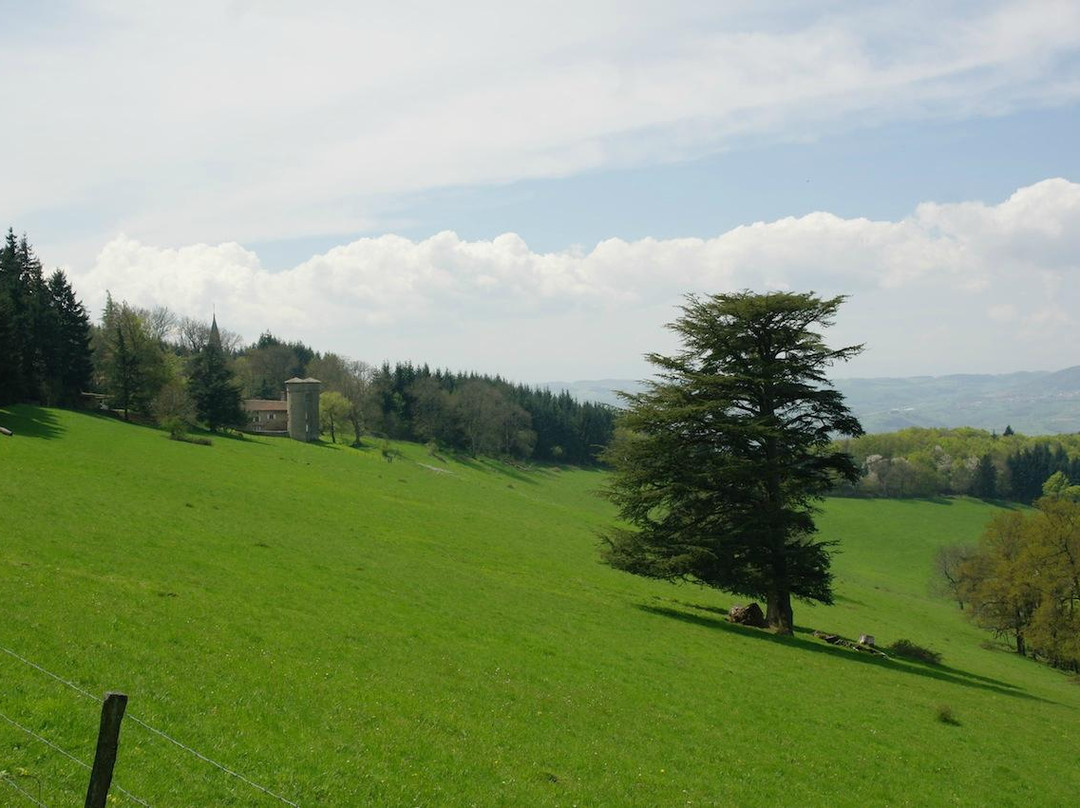 Col de la Luere-里昂必去景点