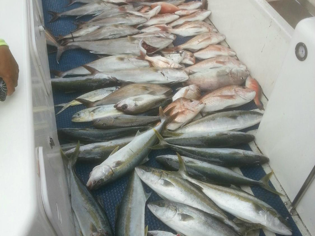 Odyssey Fishing Charters景点图片