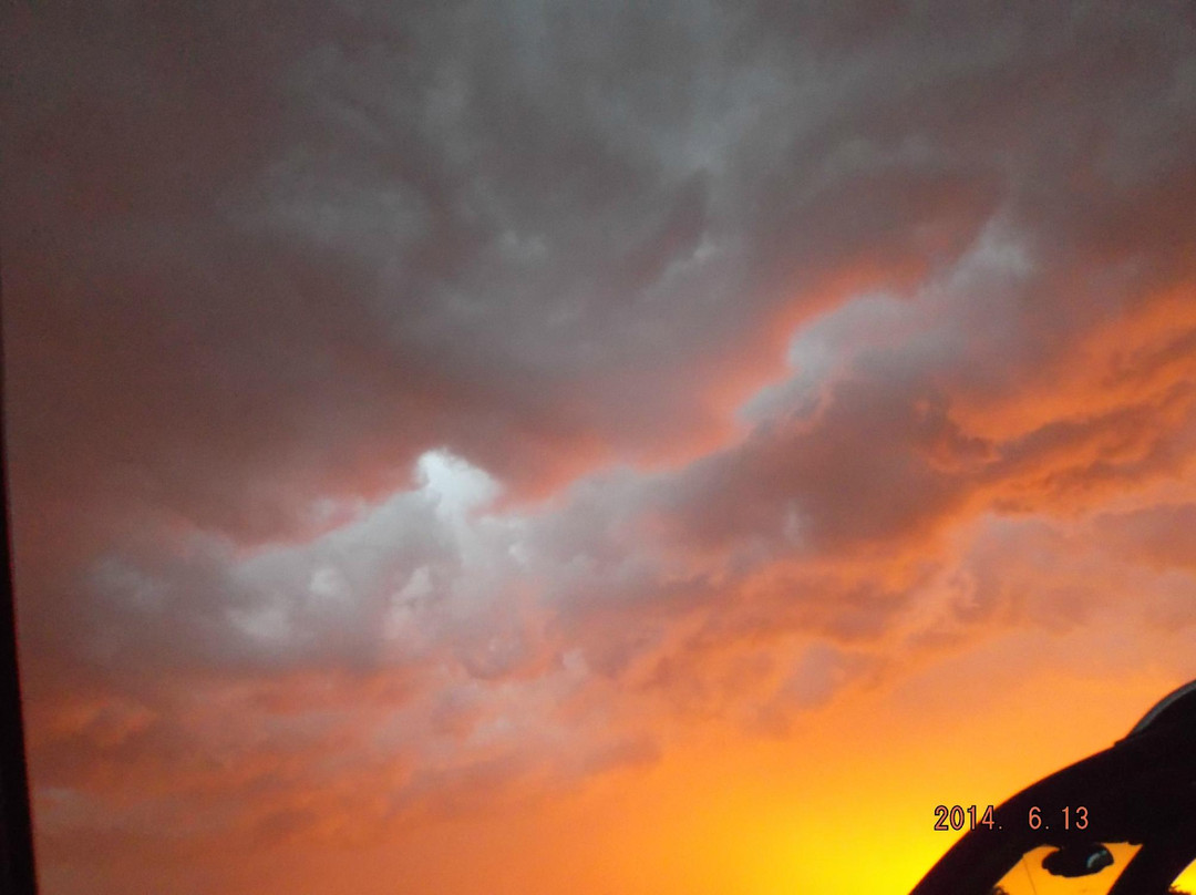 Tascosa Drive-In-阿马里洛必去景点