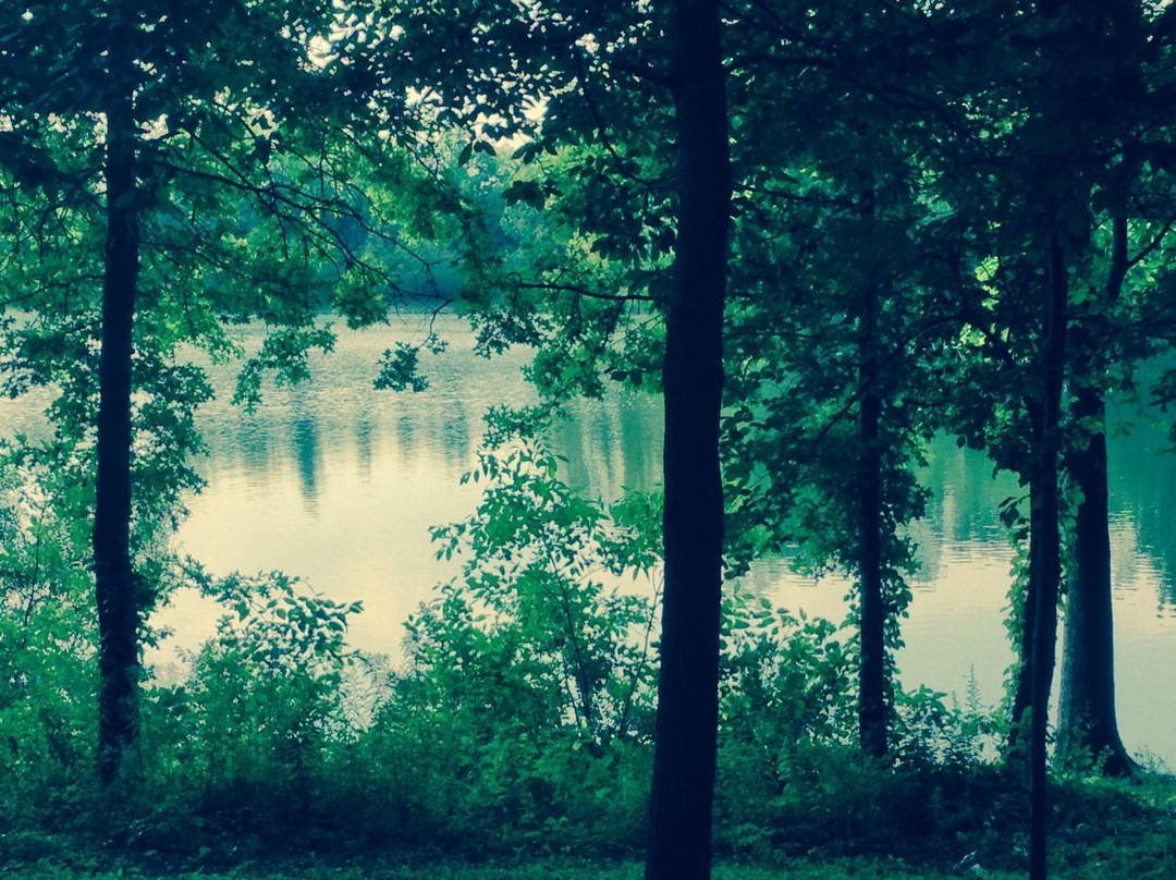 Shenango Recreation Area